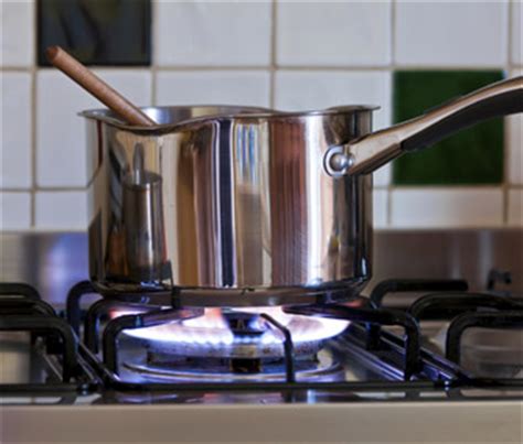 gas stoves and pet birds